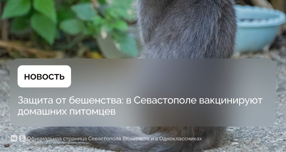 В Севастополе бесплатно привьют питомцев от бешенства в Солнечном, Фруктовом, Андреевке и Поворотном