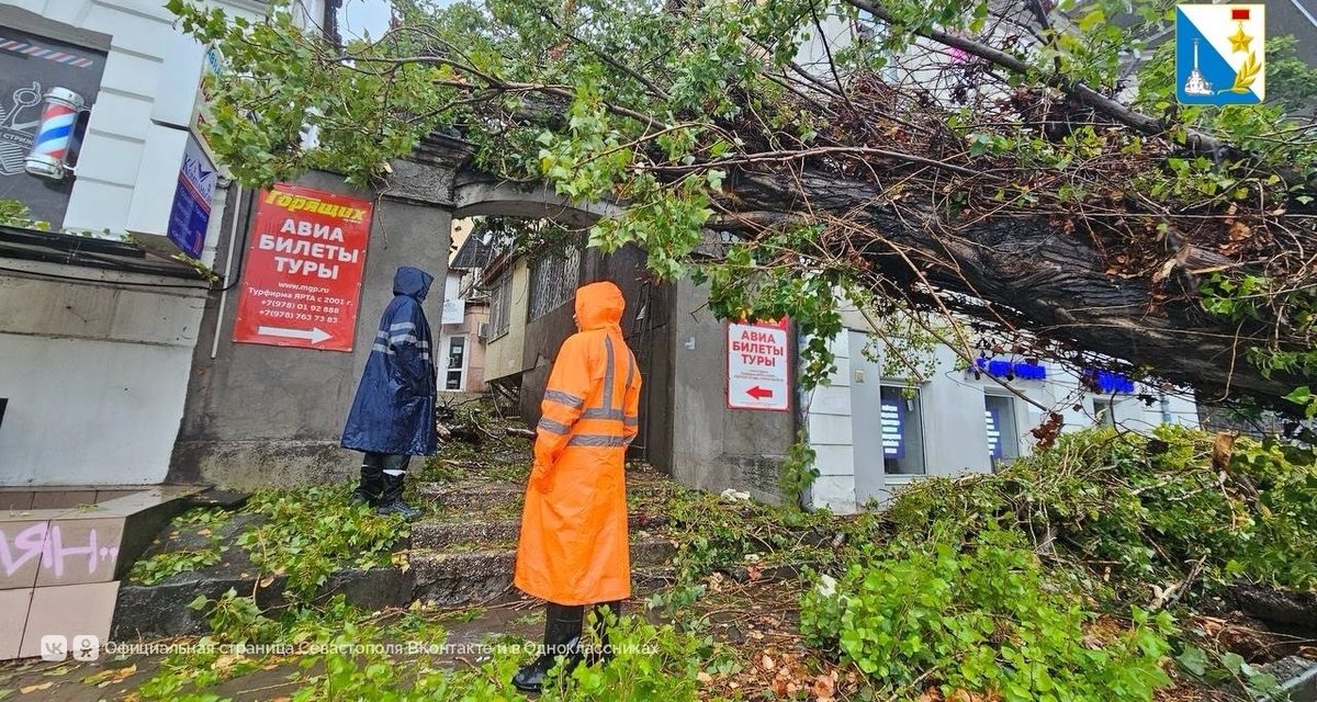 После сильного ливня в Севастополе городские службы разбирают упавшие деревья и чинят крыши