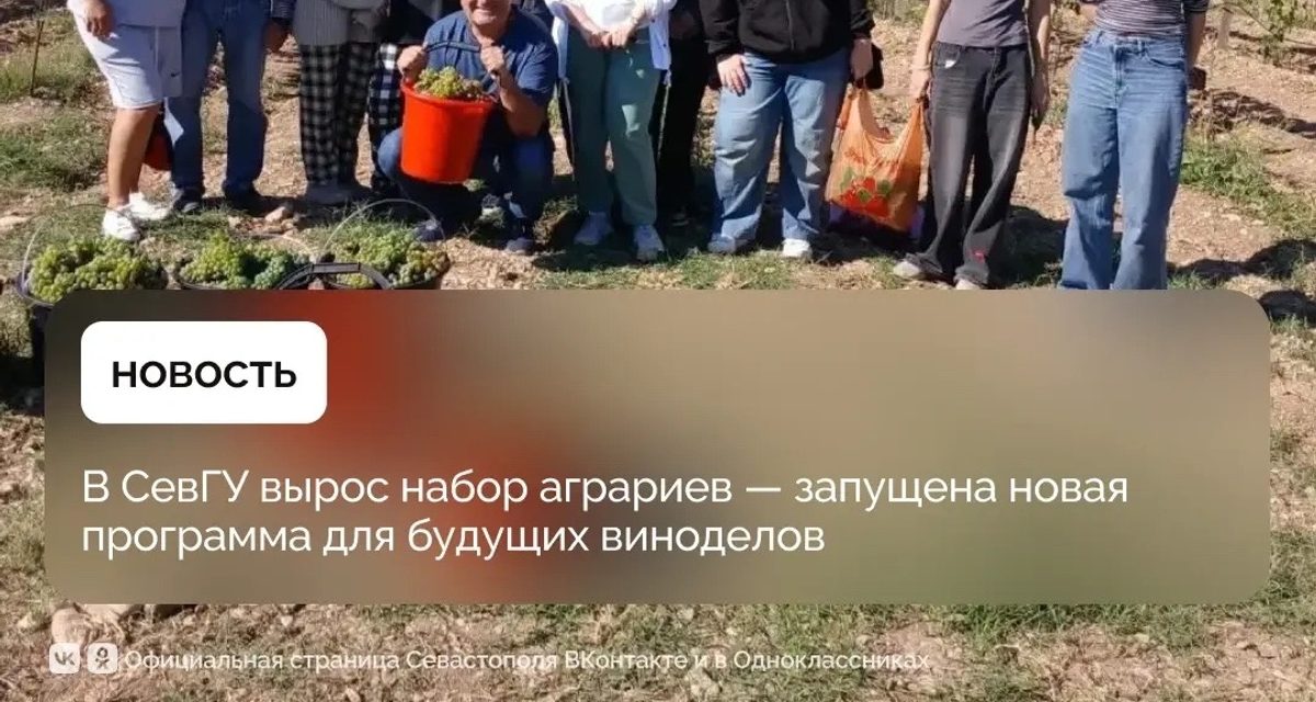 В Севастополе 35 бакалавров-аграриев учатся для виноделия, а СевГУ открыл новую магистратуру